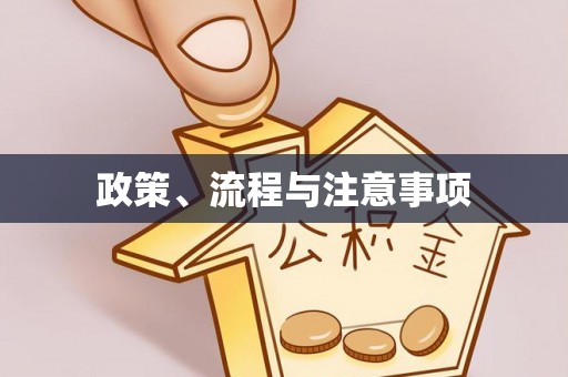 横沥政策、流程与注意事项