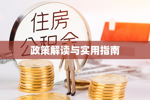 横沥政策解读与实用指南
