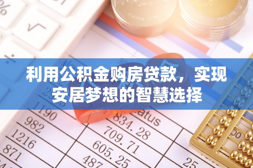 横沥利用公积金购房贷款，实现安居梦想的智慧选择