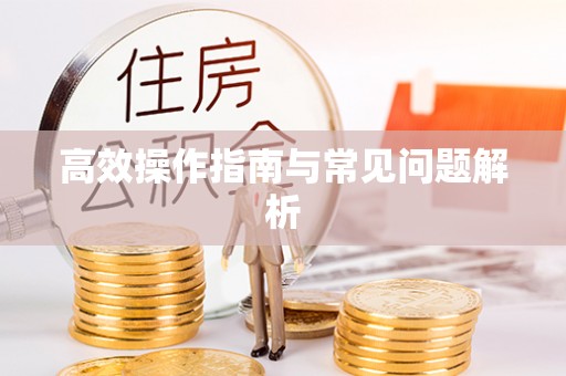 横沥高效操作指南与常见问题解析