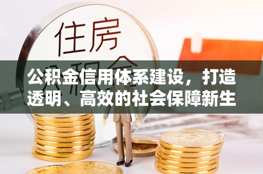 横沥公积金信用体系建设，打造透明、高效的社会保障新生态
