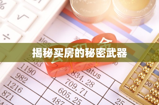 横沥揭秘买房的秘密武器