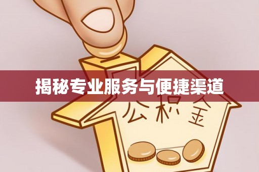横沥揭秘专业服务与便捷渠道