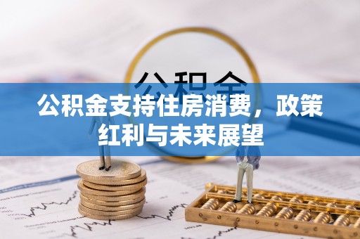 横沥公积金支持住房消费，政策红利与未来展望