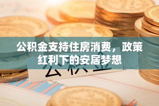 横沥公积金支持住房消费，政策红利下的安居梦想