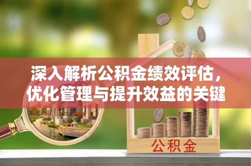横沥深入解析公积金绩效评估，优化管理与提升效益的关键路径